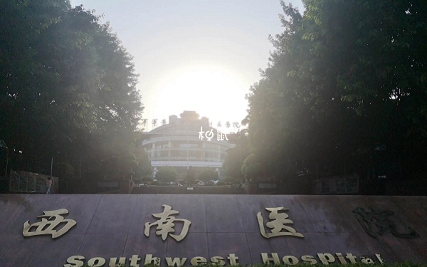 重庆西南医院试管成功率