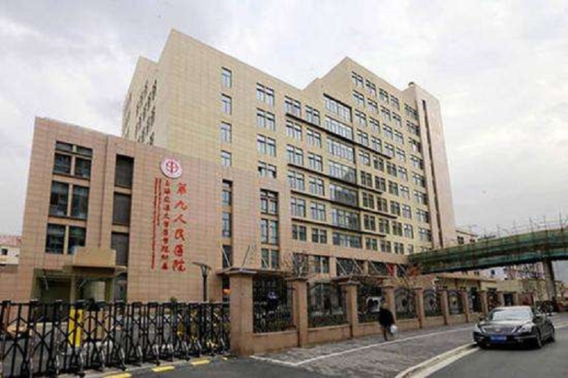 上海九院試管嬰兒成功率高