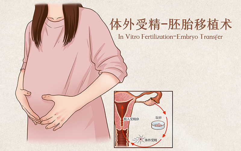 影響試管嬰兒成功率的因素