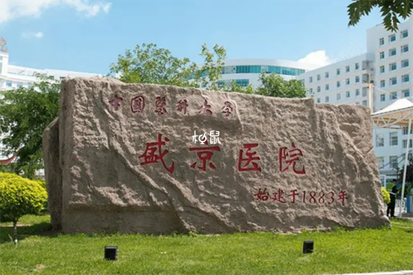 供卵試管