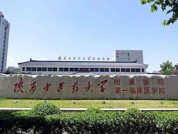 陝西中醫藥大學附屬醫院試管嬰兒成功率多少