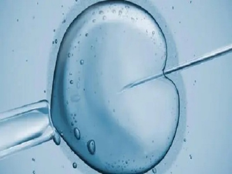 deba37de32c1d54fef36aeb75c977fa6.jpg