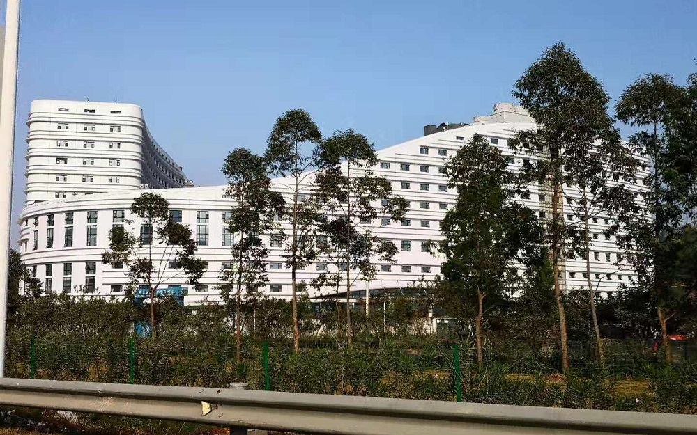 珠海婦幼保健院不能做試管龍鳳胎