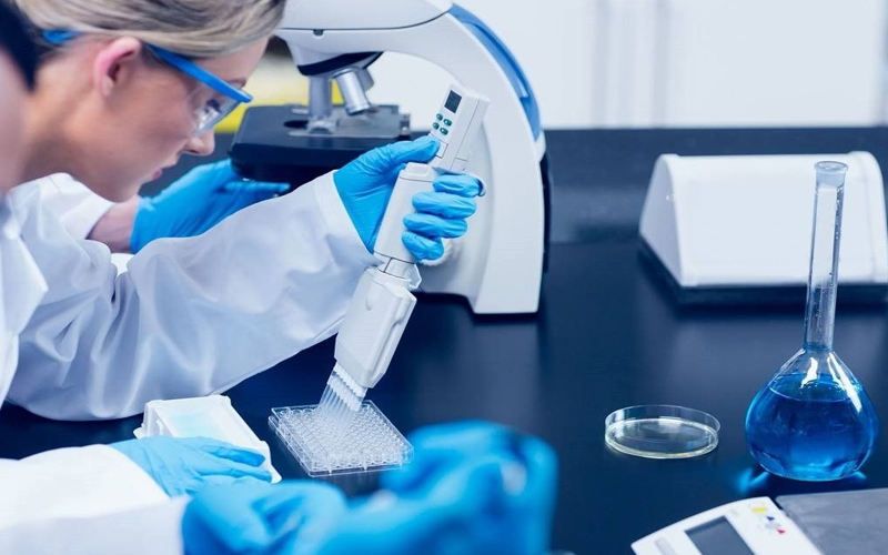 供卵試管嬰兒的流程