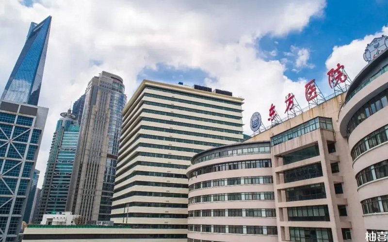 上海市东方医院是一家公立三甲医院