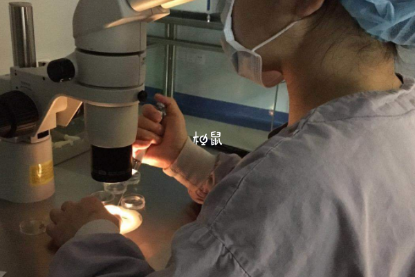 瀋陽盛京醫院試管嬰兒成功案例並不少