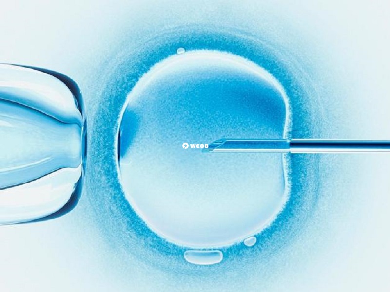 三代试管胚胎检测可提高试管助孕成功率