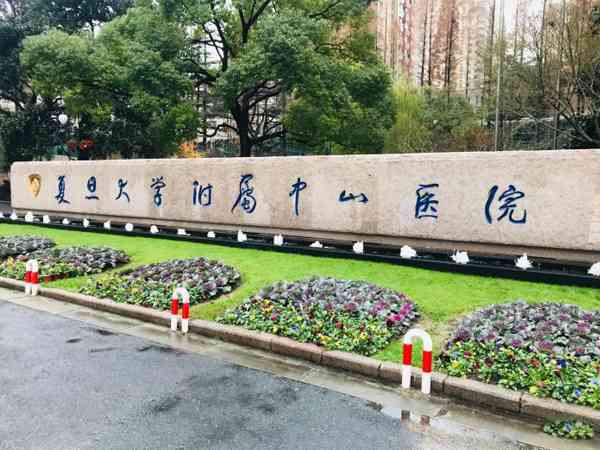 上海复旦中山医院二代试管婴儿要多少钱