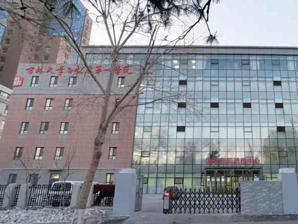 吉大一院助孕技術怎麼樣