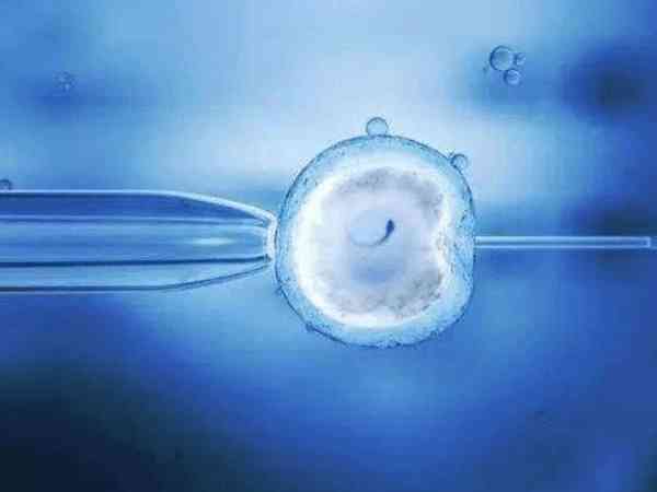 桂林医学院附院是不是囊胚移植成功率高