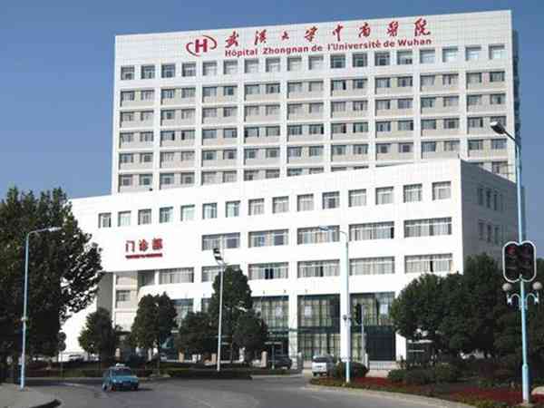 武汉中南医院做供卵试管婴儿多少钱