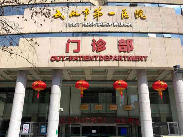 武汉市第一医院做试管费用