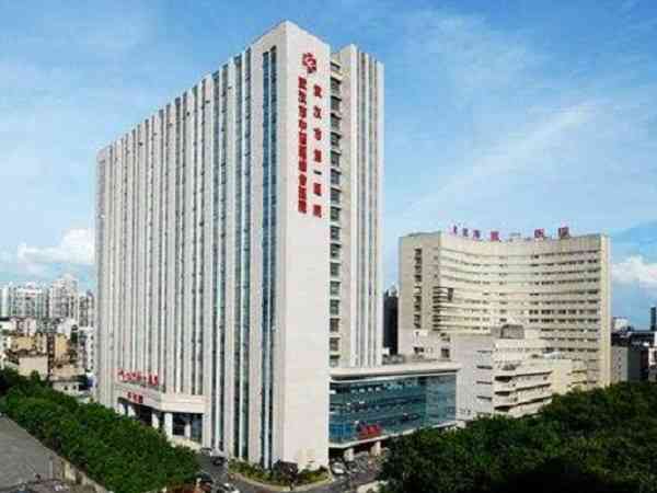 武汉市第一医院做试管成功率