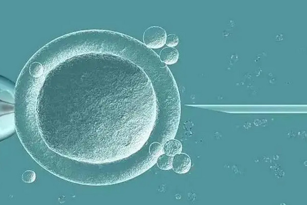 上海仁济医院供卵生子试管流程分享
