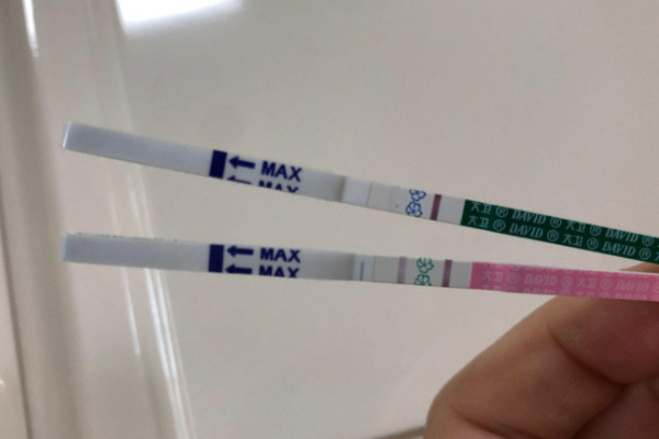 大衛早孕試紙使用方法分享