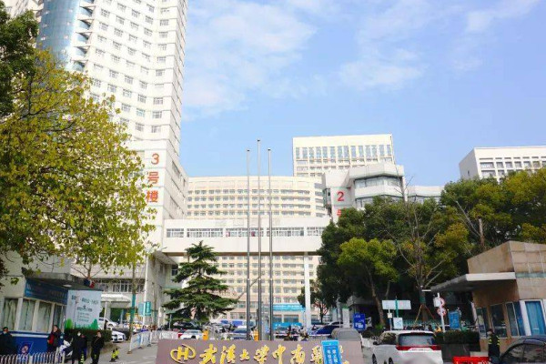 武汉中南医院试管婴儿流程图