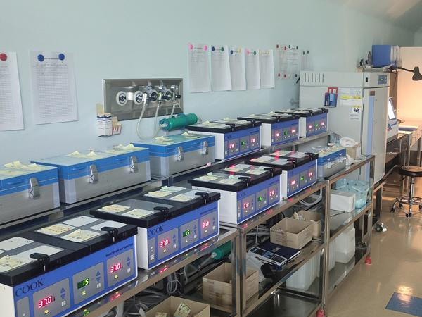 内蒙古附属医院做试管婴儿多少钱