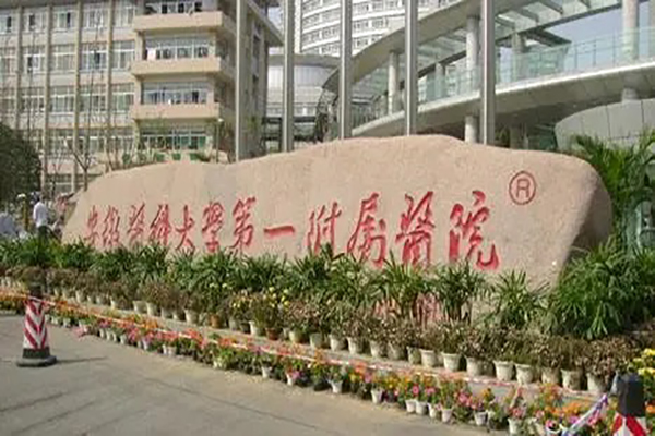 安醫附院生殖中心掛號攻略