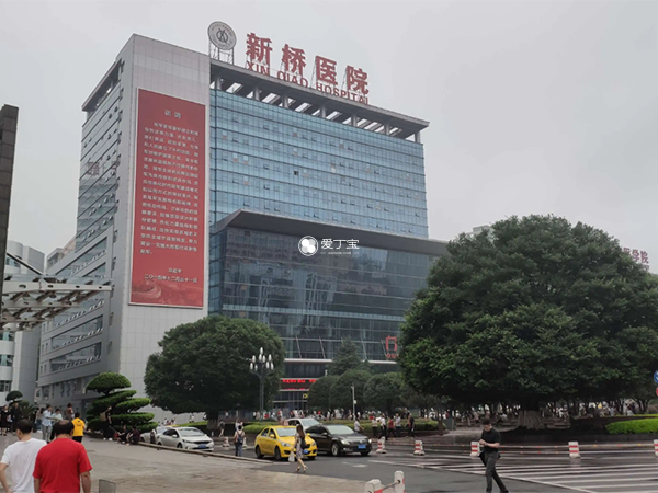 重庆新桥医院试管婴儿成功率
