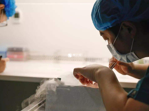冷冻胚胎如何转院移植