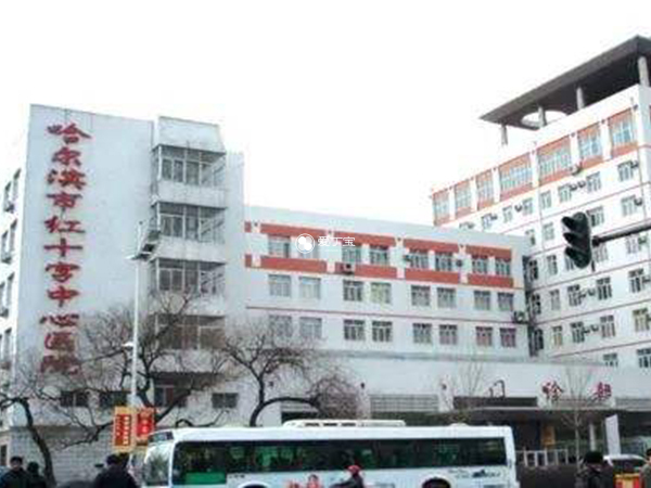 哈尔滨红十字医院试管婴儿成功率