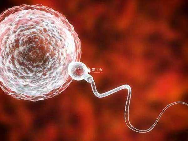 试管胚胎染色体检查
