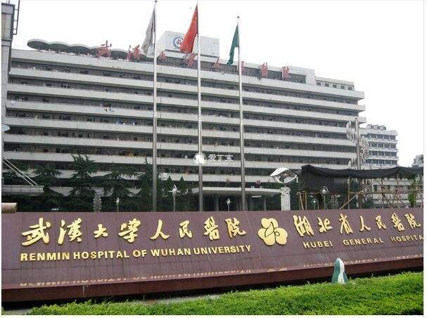 武汉大学人民医院供卵