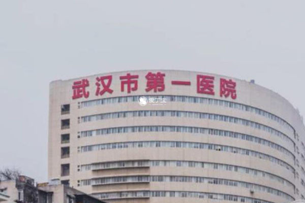 武汉市第一医院试管婴儿