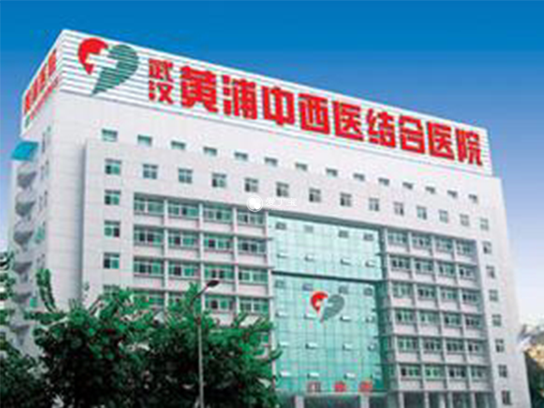 武汉黄浦医院是一家民营医院