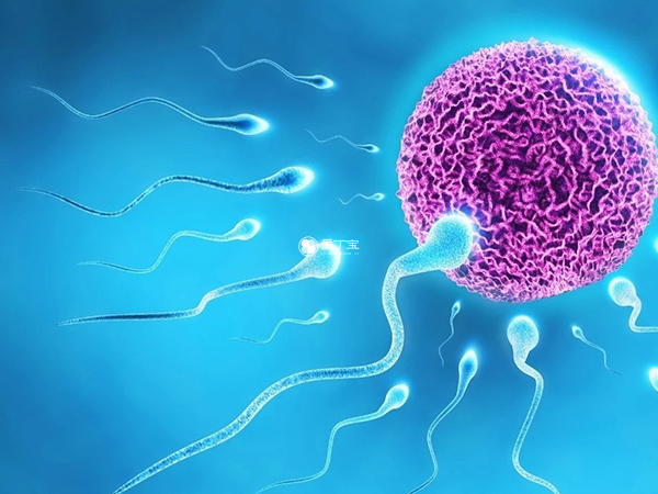 有严重遗传性疾病可以使用精子库精子