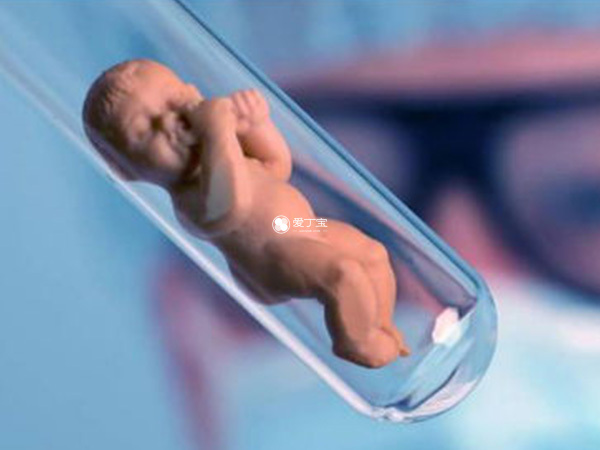 三代试管婴儿取样不影响胚胎发育