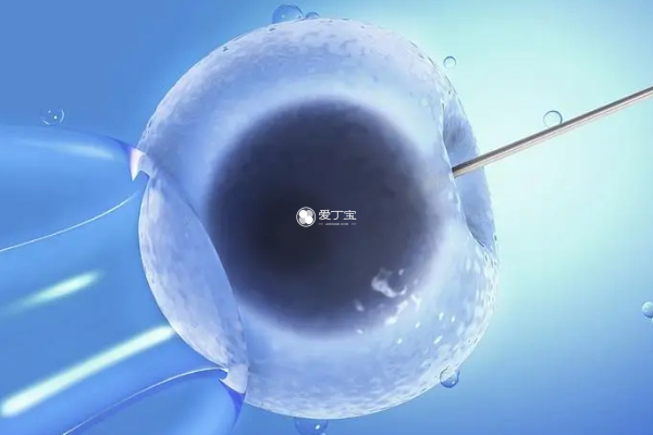 做三代试管需要筛查胚胎