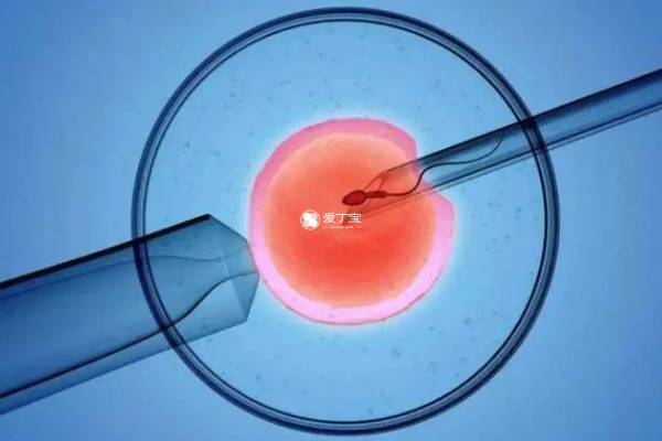 试管成功率受到胚胎质量影响