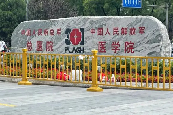 北京301医院可以做供卵试管