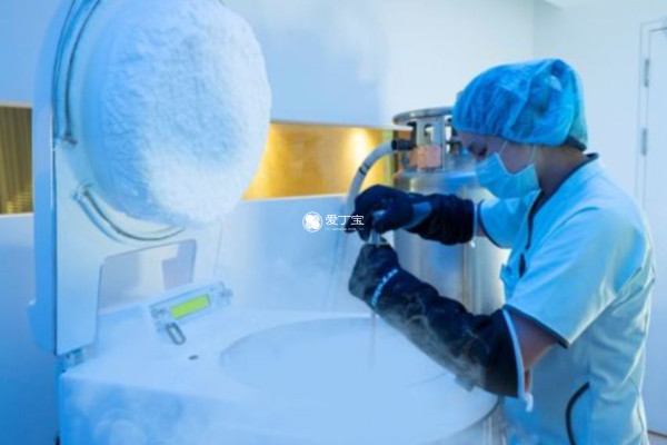 胚胎冷冻费用需要根据胚胎个数决定