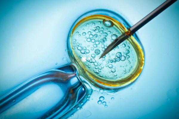 移植2个胚胎可能怀双胞胎
