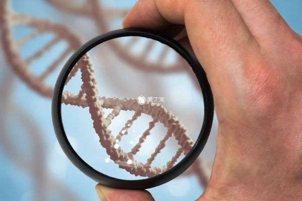 三代试管可以进行基因筛查