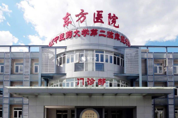 北京东方医院仅开展了人工授精