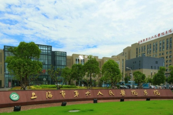 上海六院试管成功率有百分之五十五