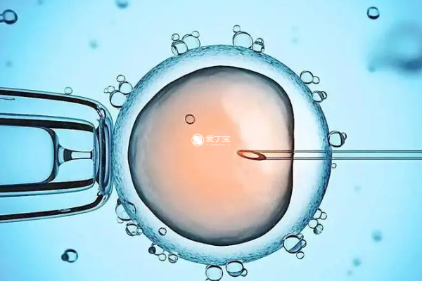 胚胎质量好的患者试管成功率较高