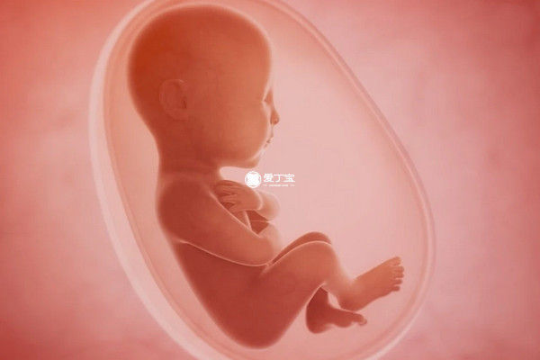 孕期吃泡椒凤爪会影响胎儿发育