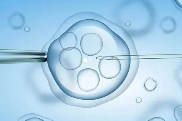 三代试管要进行胚胎基因筛查