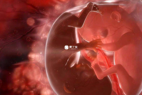 孕期症状是不能判断胎儿性别的