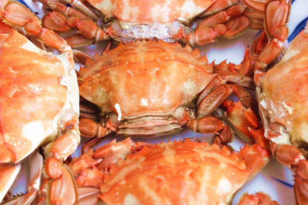 哺乳期可以少量食用螃蟹