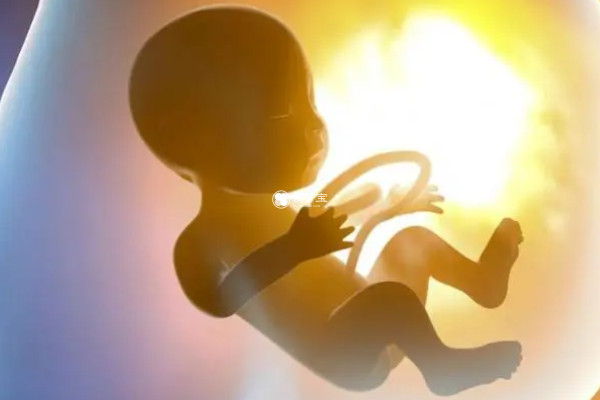 胎儿发育会导致长妊娠纹