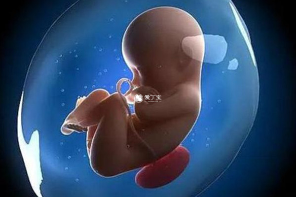 宜春妇幼有人工受孕技术