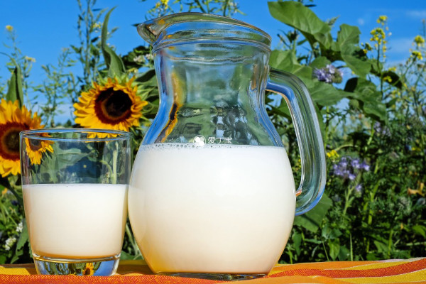 喝牛奶可以帮助产后耻骨下移恢复
