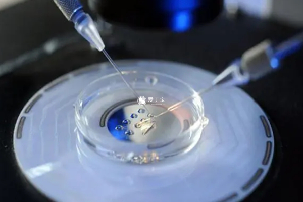 三代试管可以进行胚胎筛查