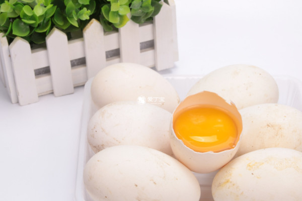 吃鹅蛋不能预防宝宝黄疸