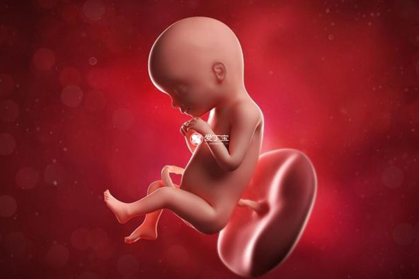 早产会导致新生儿呼吸间歇性停顿